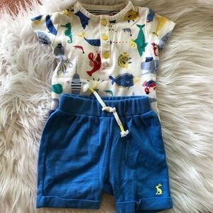 Adorable JOULES Outfit